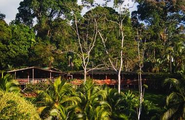 View to Restaurant