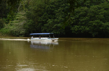 Boat Tour 