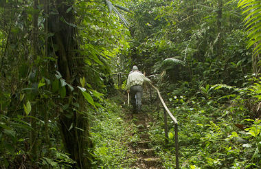 Jungle Hikes