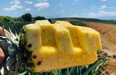 Ananas 
