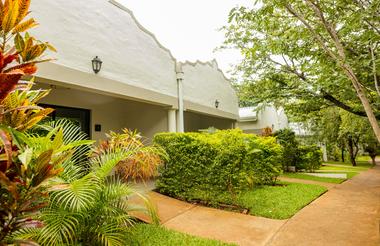 Garden view