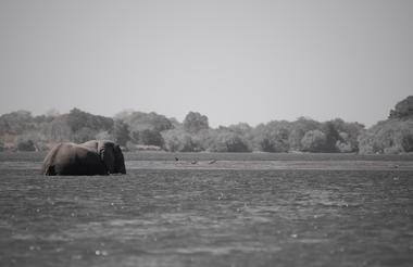 Lwenge River View