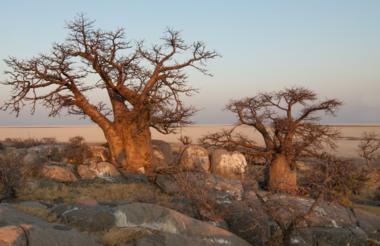Chobe