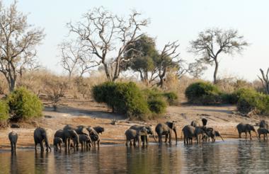 Chobe