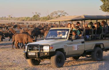 Chobe game drive 