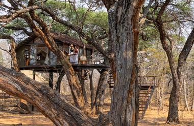 Treehouse Crombec - exterior