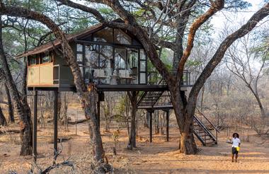 Treehouse Crombec - exterior