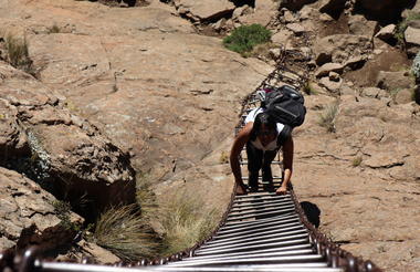 Climbing the Chain Ladders