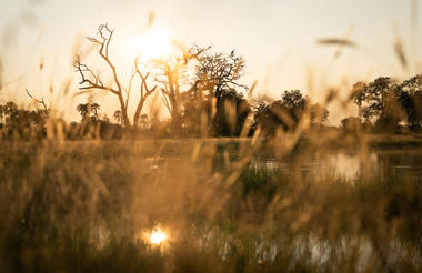 Singita Elela_Water pan