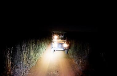 NIght Drives