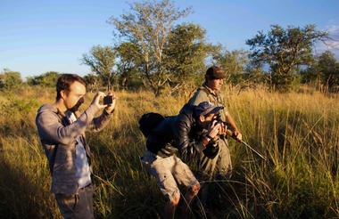 Walking with highly qualified field guides