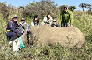 White Rhino de-horning