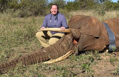 Elephant Immobilisation