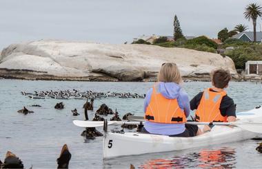 Raft of African Penguins