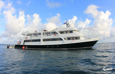 Jardines Avalon F II