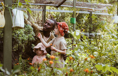 Organic Garden