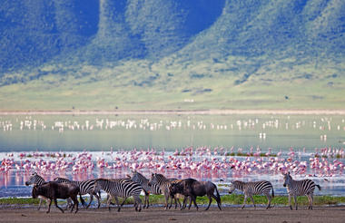 Sanctuary Ngorongoro Crater Camp game drive