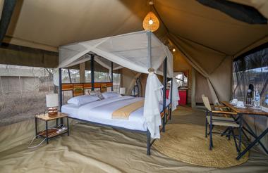 Single tent
