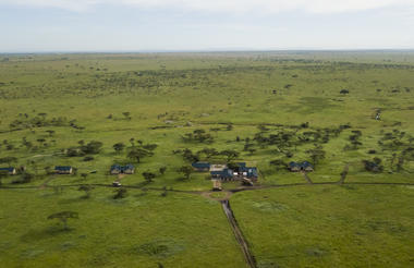 Serengeti Sametu Birds view