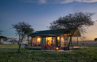 Serengeti Sametu Elegance