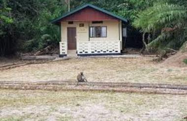 TANAPA Accommodation Rubondo Island