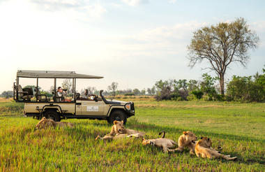 Game Drive
