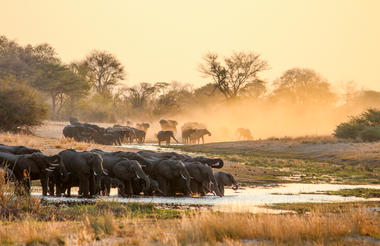 Along the Luiana Plains
