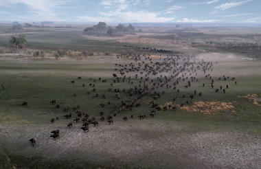 Along the Luiana Plains