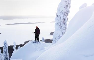 Koli Lake in winter