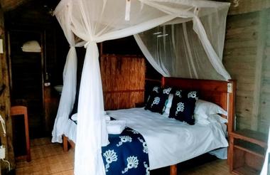 Hippo Cabin 