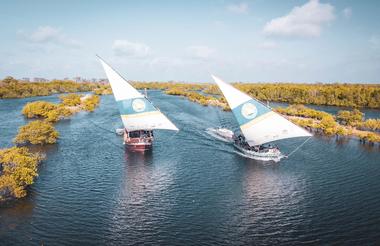 Flip Floppy Dhows