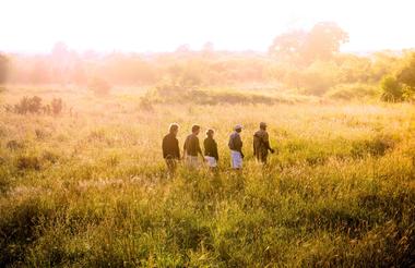 Walking Safaris