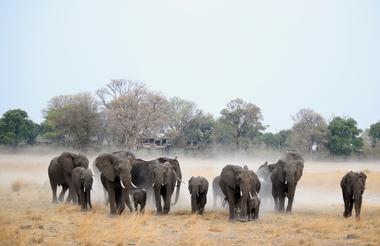 Nambwa Tented Lodge