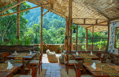 Forest View