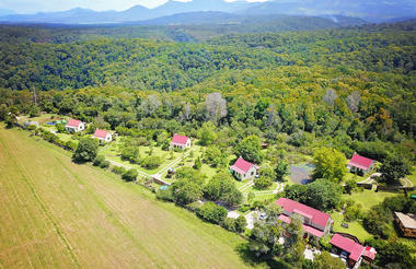 Forest Edge Aerial View