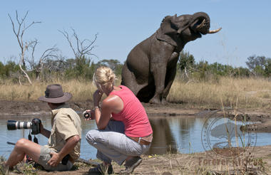 Watching an elephant bathe on safari in Hwange NP