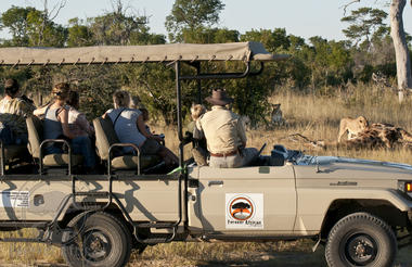 On game drive in Hwange National Park