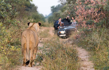 Marataba Game Drive