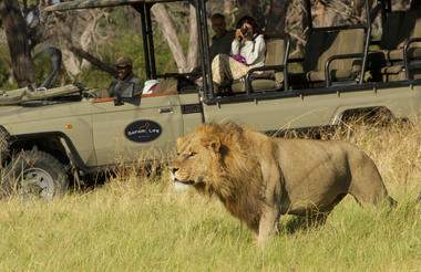 Safari Life Africa Game Viewing