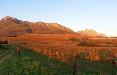 Stellenbosch Winelands