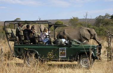 Game Drives