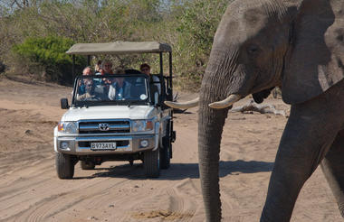 Chobe Day Trip