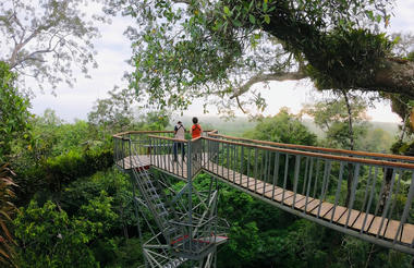 Kapok Tower