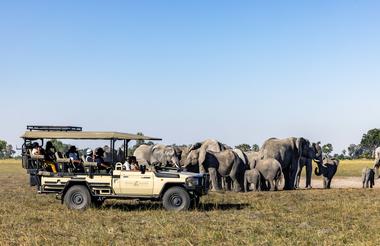Game Drive