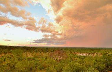 View of the waterhole the Siduli Hide is next to
