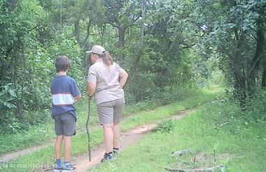 Bushwalks