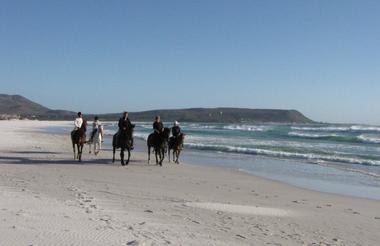 Horseriding on the Beach