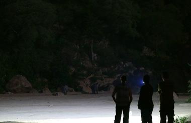 Spot elephants on night safari 