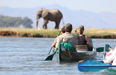 Canoeing with Elephant