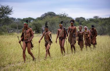 Bushman Experience